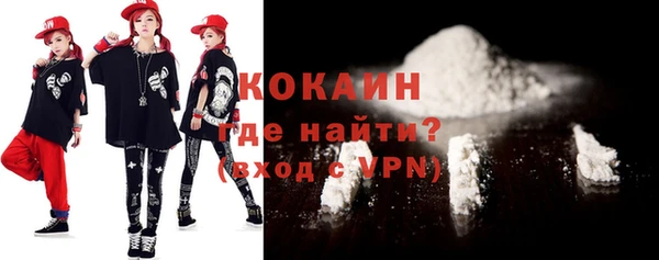 тгк Пересвет